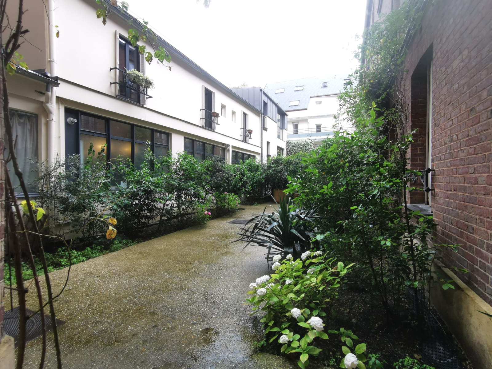 Image_, Appartement, Clichy, ref :713